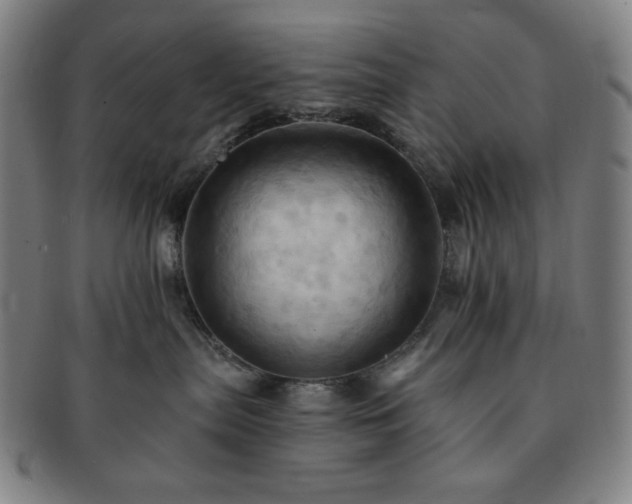 X0000091460287200708231323