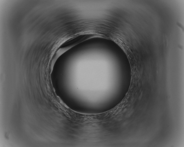 X0000091460289200708231322