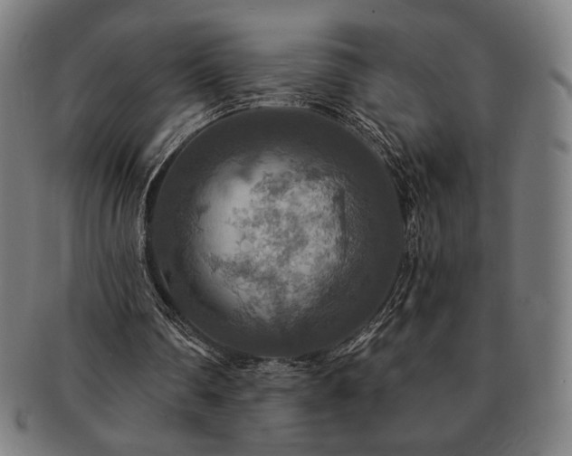 X0000091460290200708231322