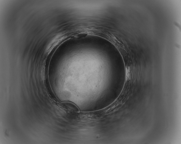 X0000091460291200708231322