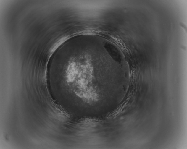 X0000091460292200708231322