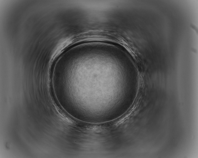 X0000091460293200708231322