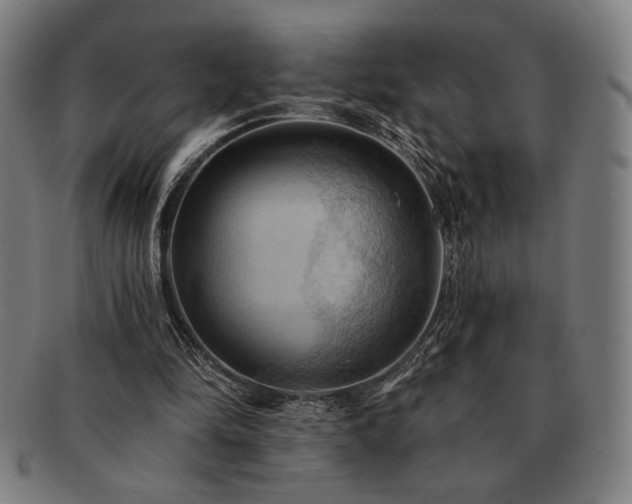 X0000091460294200708231322