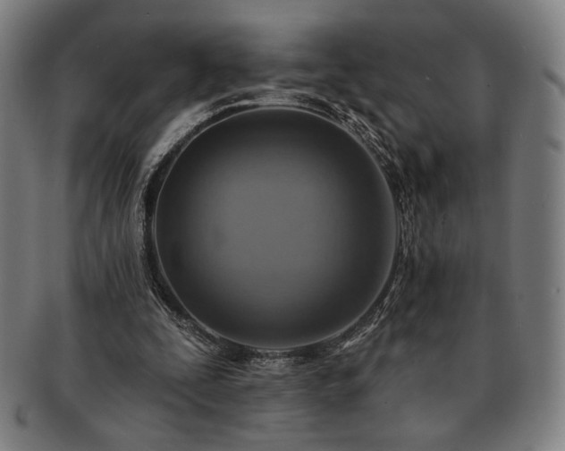 X0000091460295200708231322