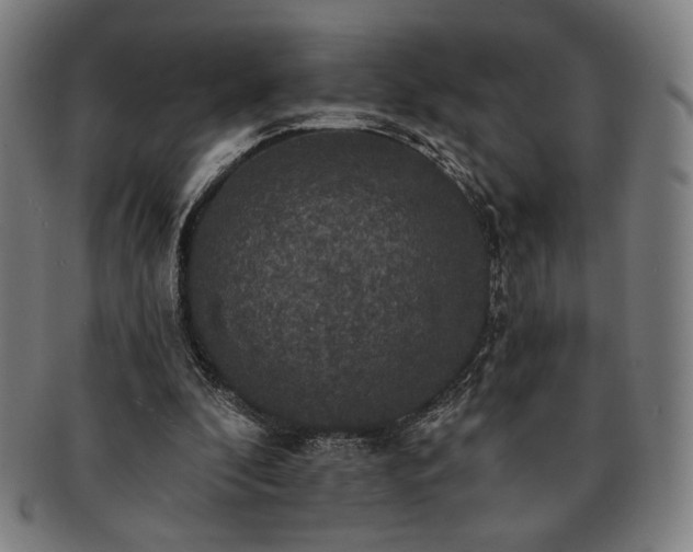 X0000091460296200708231322