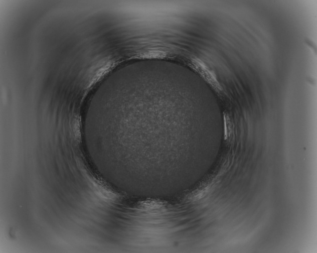 X0000091460300200708231322