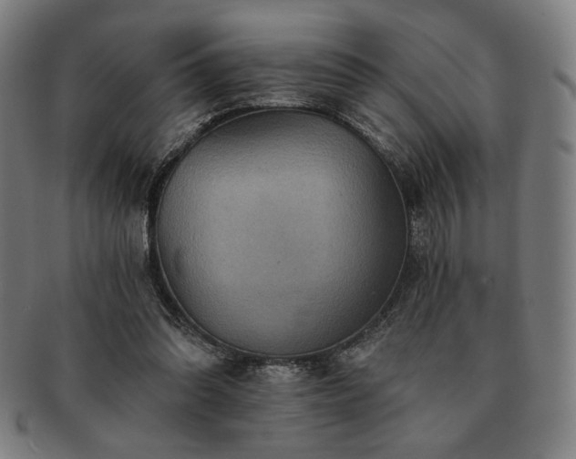 X0000091460302200708231322