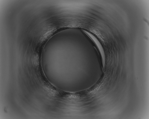 X0000091460303200708231322