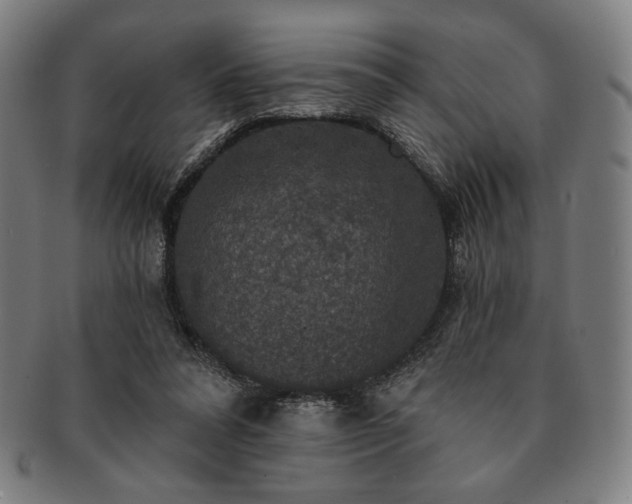 X0000091460304200708231322