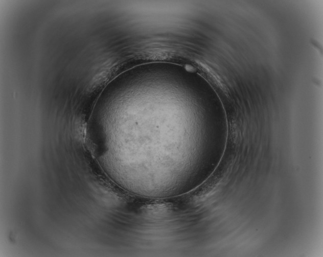 X0000091460307200708231322