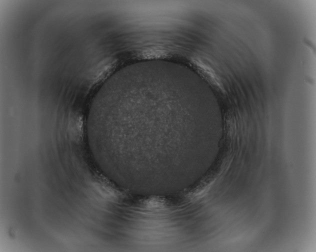 X0000091460308200708231322