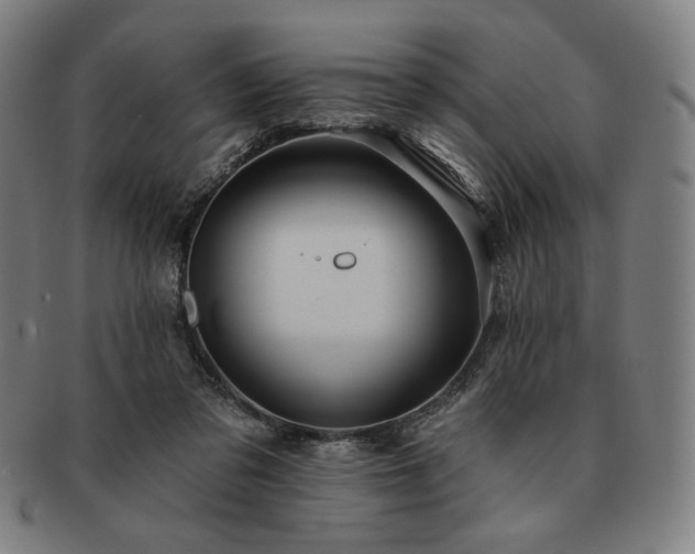 X0000091460309200708231322