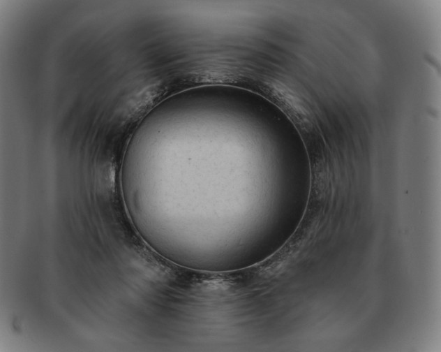 X0000091460310200708231322