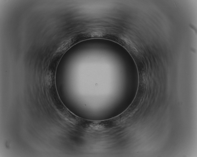 X0000091460311200708231322