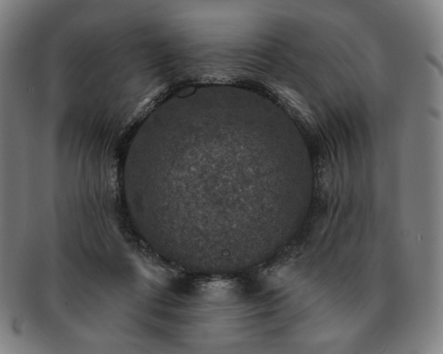 X0000091460312200708231322