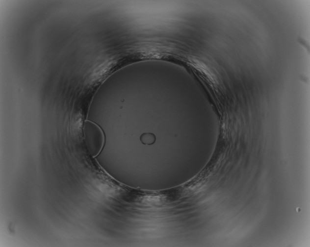 X0000091460314200708231322