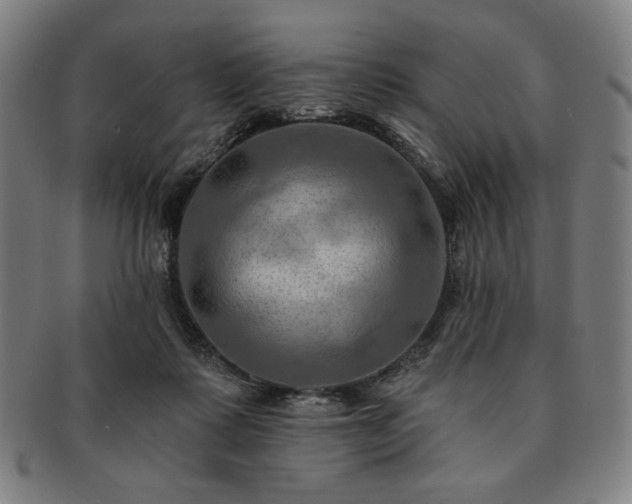 X0000091460315200708231322