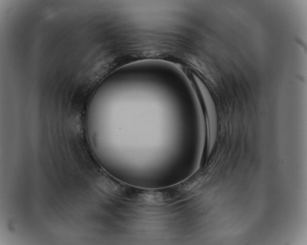 X0000091460317200708231322