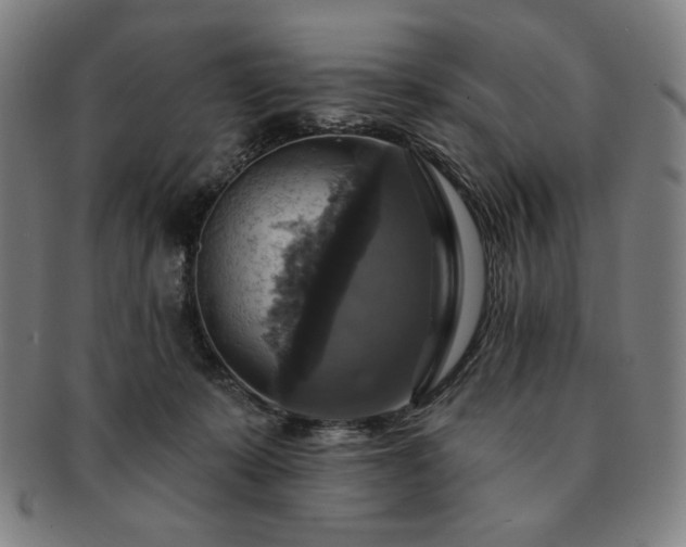 X0000091460319200708231322