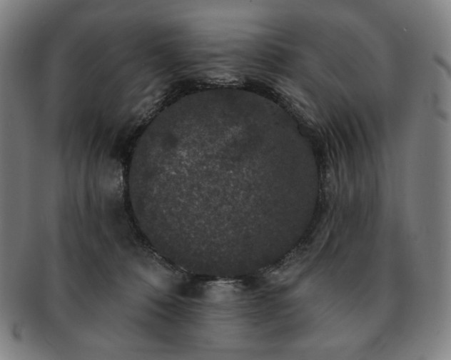 X0000091460320200708231322