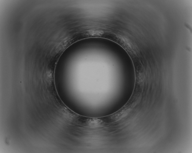 X0000091460321200708231322