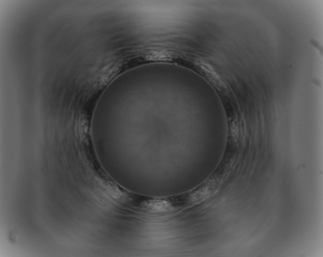 X0000091460322200708231322