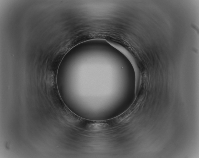 X0000091460323200708231322