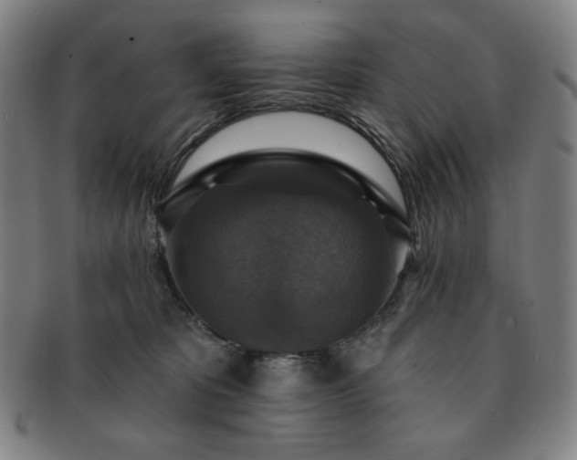 X0000091460325200708231322