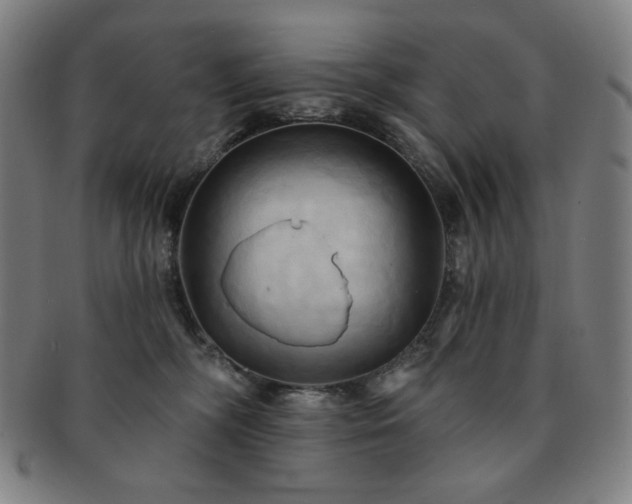 X0000091460326200708231322