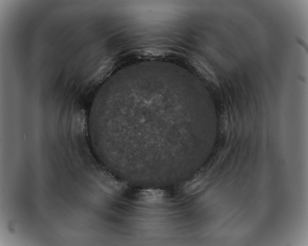 X0000091460328200708231322