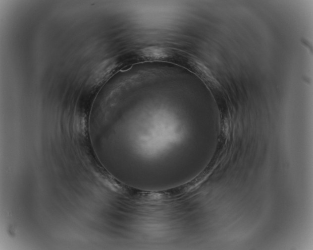 X0000091460330200708231322