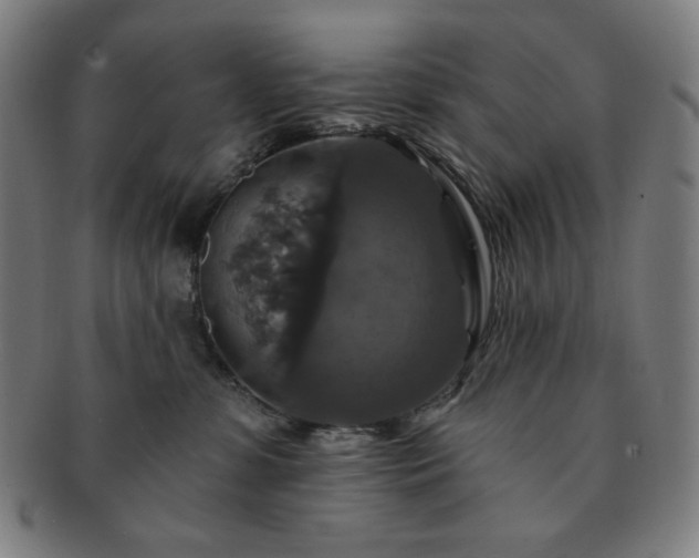 X0000091460331200708231322