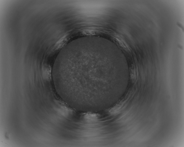 X0000091460332200708231322