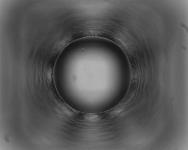 X0000091460334200708231322