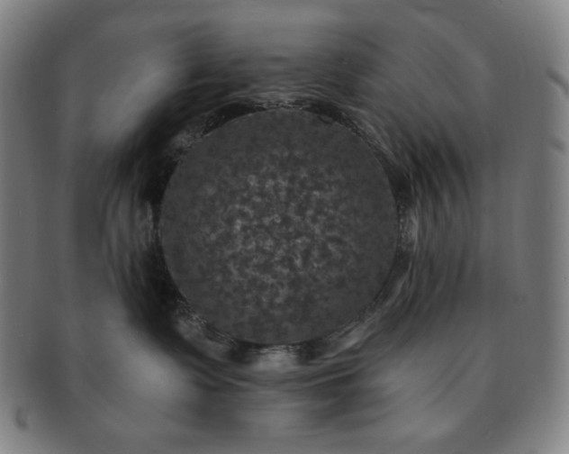 X0000091460335200708231322