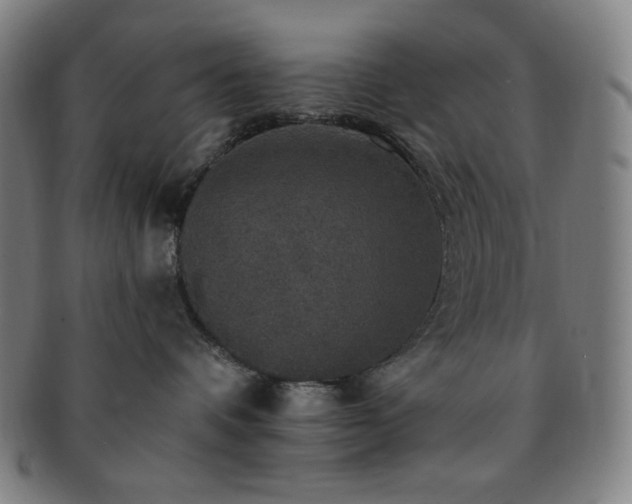 X0000091460336200708231322