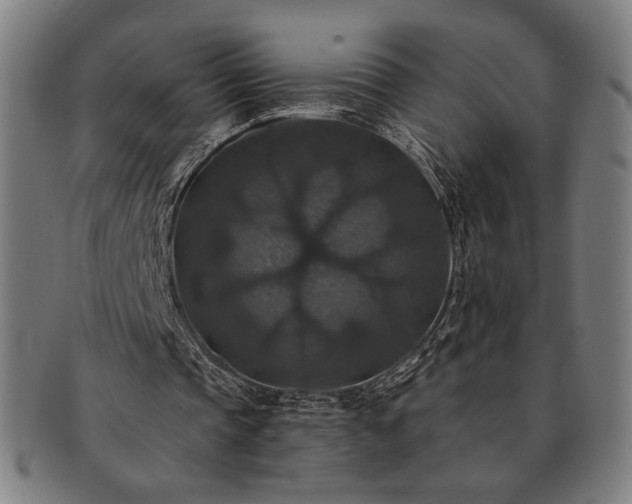 X0000091460337200708231321