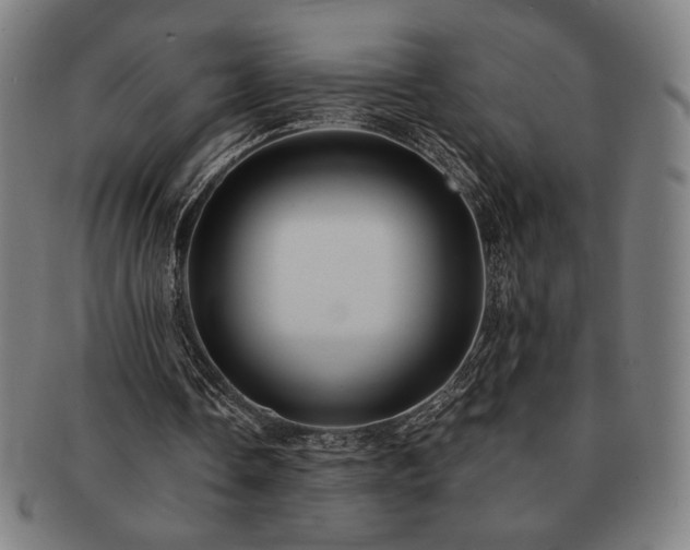 X0000091460338200708231321