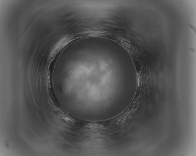 X0000091460339200708231321