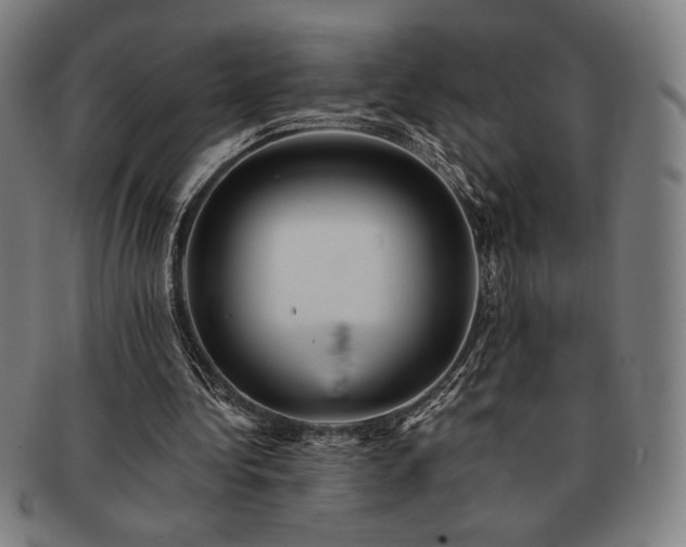 X0000091460340200708231321