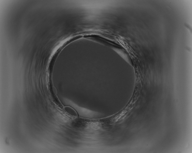 X0000091460342200708231321