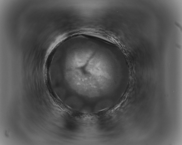 X0000091460343200708231321