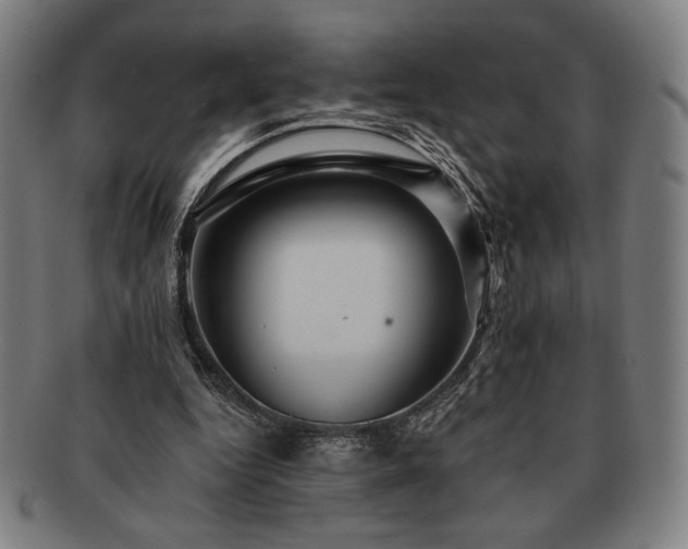 X0000091460344200708231321