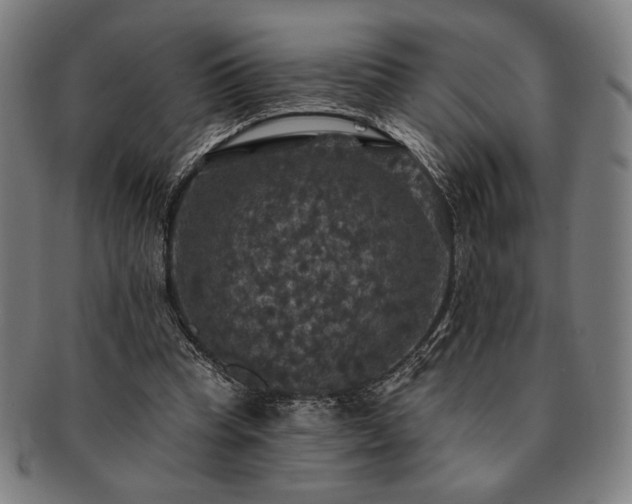 X0000091460345200708231321