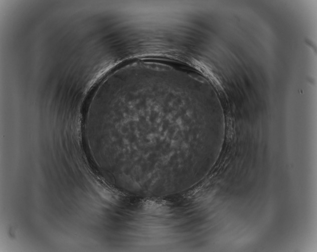 X0000091460346200708231321