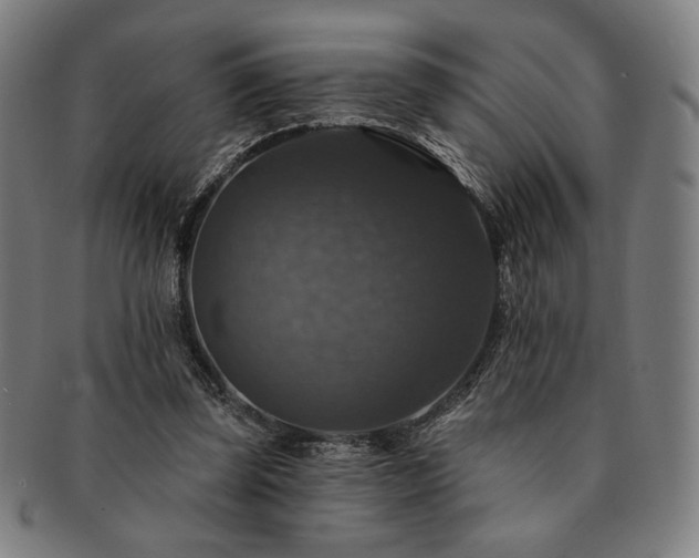 X0000091460347200708231321