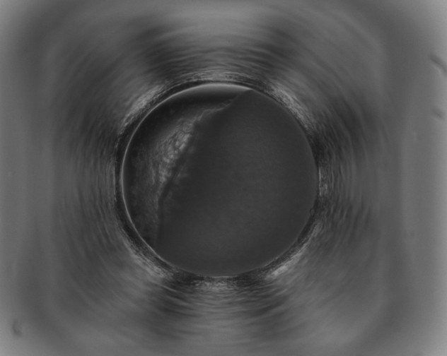 X0000091460349200708231321