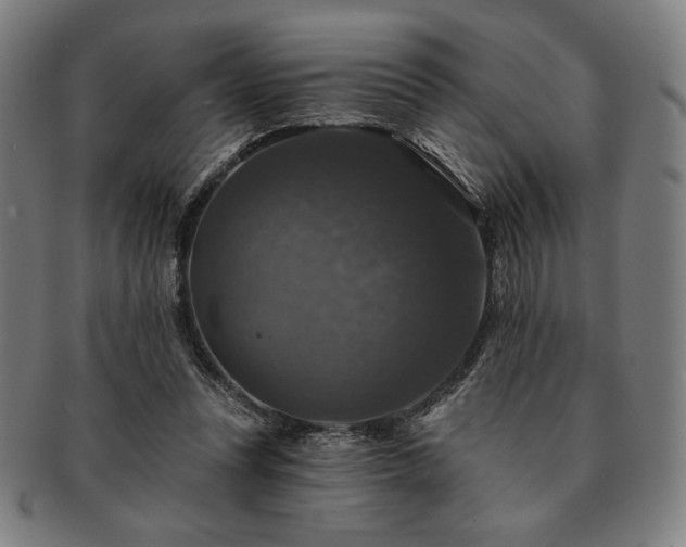 X0000091460351200708231321