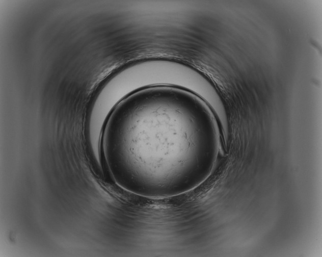 X0000091460352200708231321