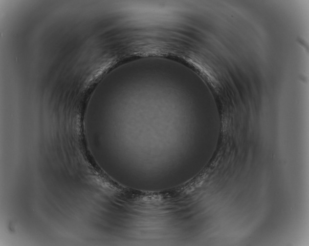 X0000091460353200708231321